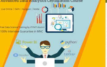 Job Guarantee Data Analyst Course in Delhi.110015.